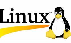 Linux磁盘分区